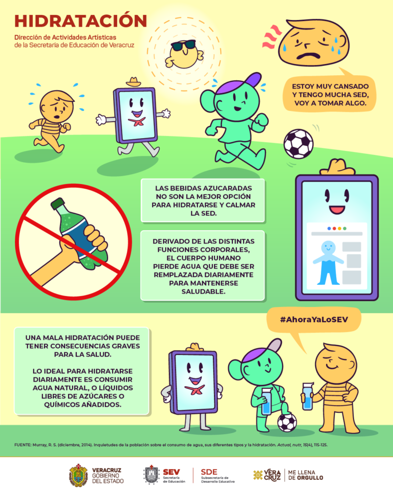 Infografías para la Secretaría de Educación de Veracruz (SEV)