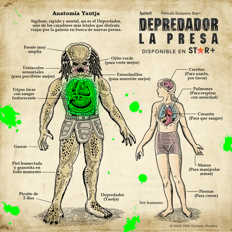 Set de infografías para Predator Prey 2022