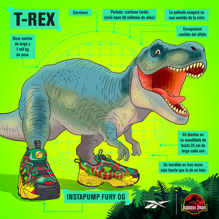 Set de ilustraciones para Reebok X Jurassic Park